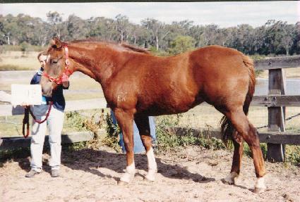 ���� ����