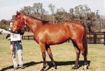 �̽����÷� (MISS MACALLUM) ����