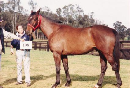 ����Ʈ����ũ���� ����