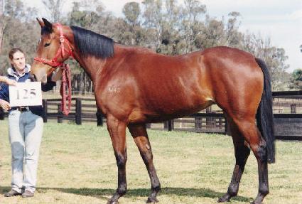 ����ũ ����