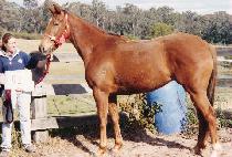 ������ (SEONGGONGJA) ����