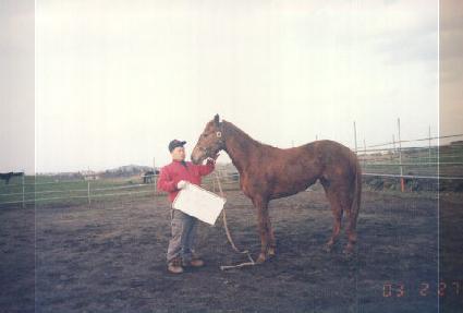 �⵵�屺 ����