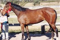 ���̽� (MAHMISS) ����