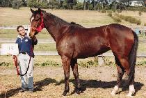 ������ (NUGARAH) ����