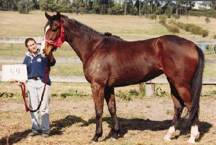 ������ ����