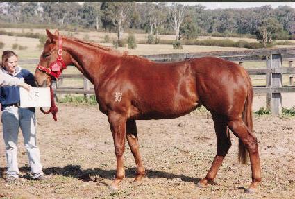 ��ũ���̵� ����