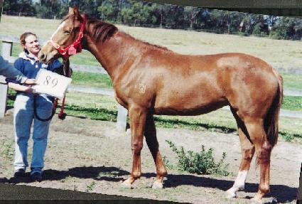 �����Ͽ콺 ����