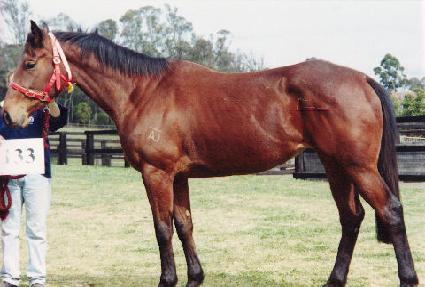 ��������� ����