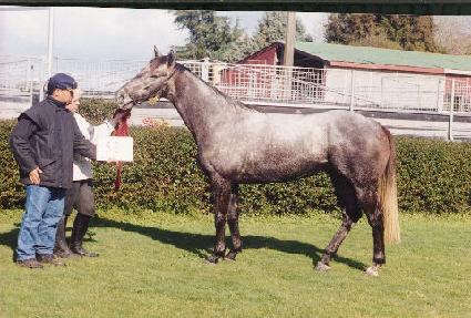 �۽�Ʈ��Ʈ ����