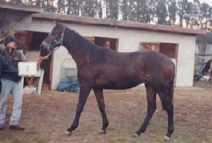 �ҹ��� ����