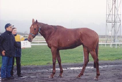 �븮�� ����