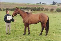 ������� (YOUNG DEFENDER) ����