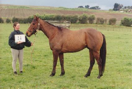 ������� ����