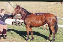 Ź�� (TAKHYEON) ����