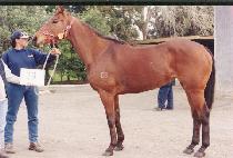 �¹ٶ� (MATBARAM) ����