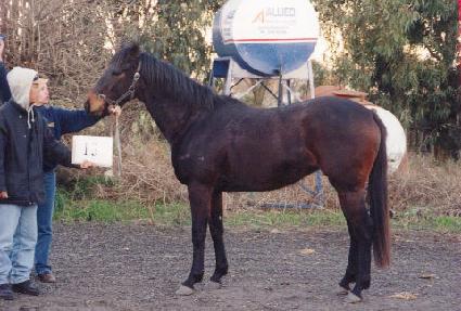 �ֶ��� ����