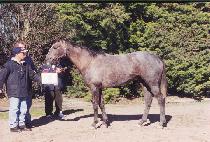 �齽������ (JAN SLATER) ����