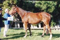 �ص����� (HAEDONG GONGJU) ����