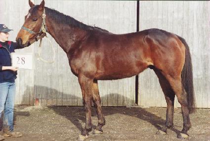 ���̱� ����