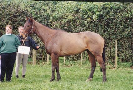 ī���� ����