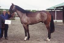 ���丮���� (VICTORY SIGN) ����