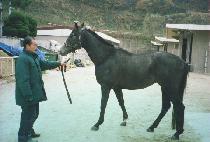 ��̸� (BAEKMIREU) ����