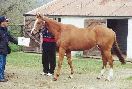 ����Ѷ� ����