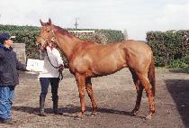 �з��Ͼ��� (MILLENNIUNM ONE) ����