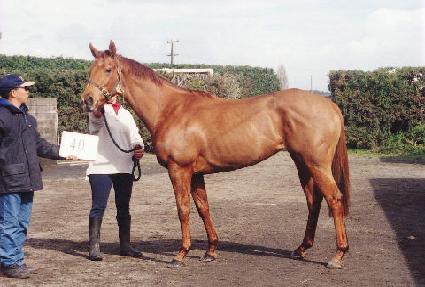 �з��Ͼ��� ����