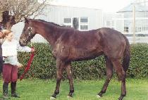 ��������Ʈ (OVER TO PETE) ����