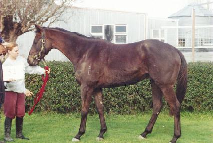 ��������Ʈ ����