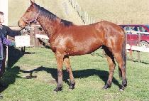 �� (BIYEON) ����