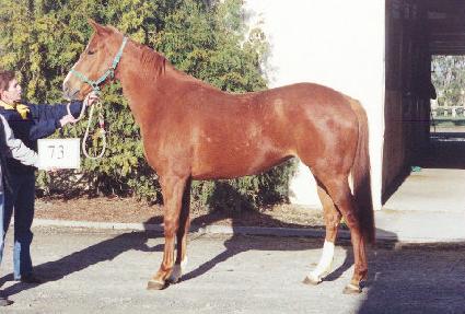 �ݺ���� ����