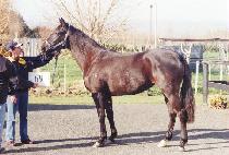 ȭõ (HWACHEON) ����