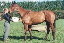 ������Ʈ (EVERHART) ����