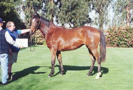 ��Ұ� ����