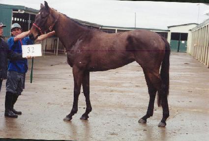 �������κ��� ����