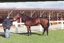 ĸƾ��� (CAPTAIN��S DAUGHTER) ����