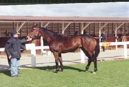 ĸƾ��� ����