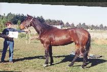 ���õ (BIRYONGCHEON) ����