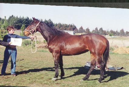 ���õ ����