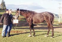 �»米 (SEUNGSAGYO) ����