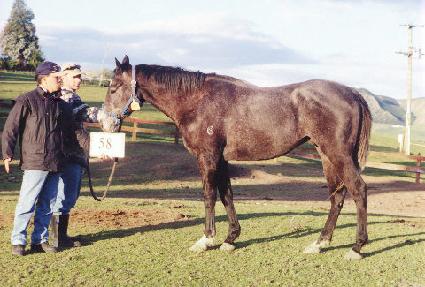 �»米 ����