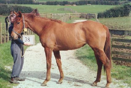 �ϸ� ����