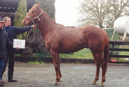 ��ȣ�� ����