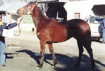 ��һ� (EOKBULSAN) ����