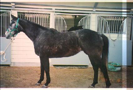 ����ְ� ����