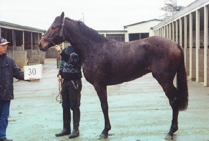 �и����� ����