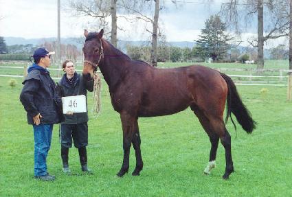 ������ ����