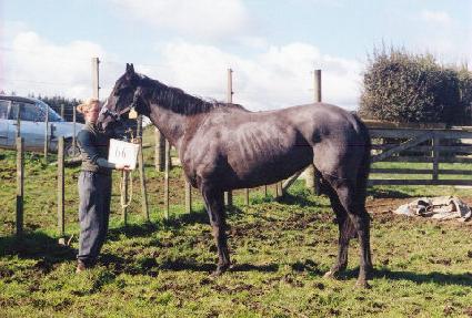 ���� ����